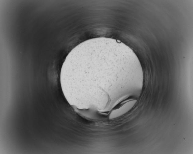 X0000094210279200711161835