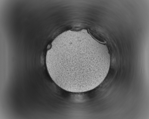 X0000094210282200711161835