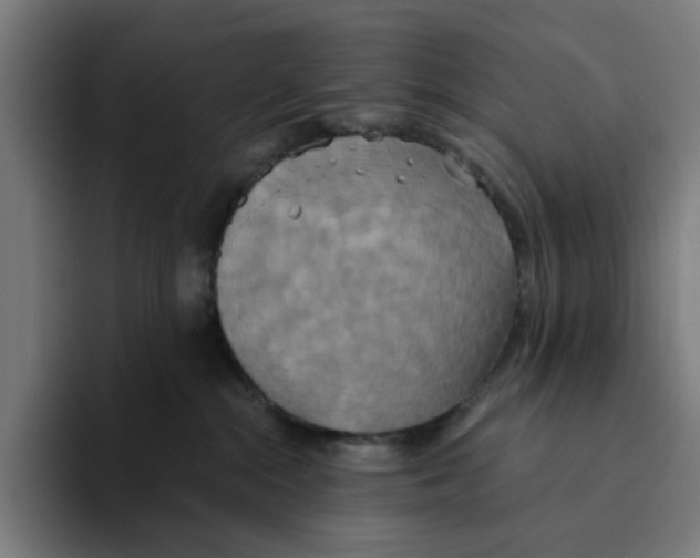 X0000094210284200711161835