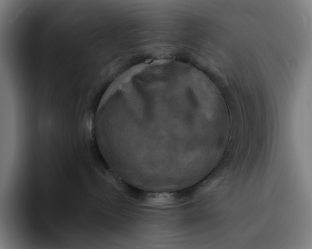 X0000094210288200711161835
