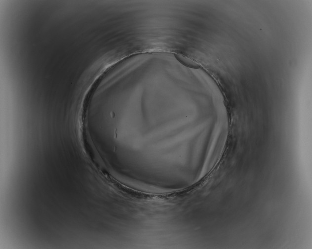 X0000094210290200711161834