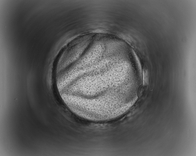 X0000094210291200711161834