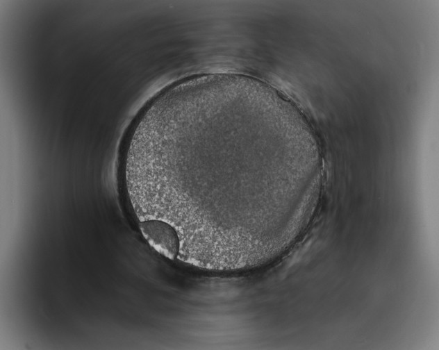 X0000094210292200711161834