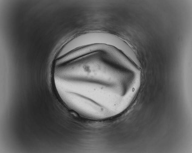 X0000094210293200711161834