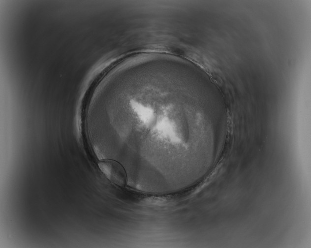 X0000094210294200711161834