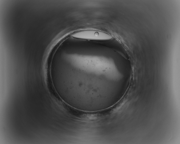 X0000094210295200711161834