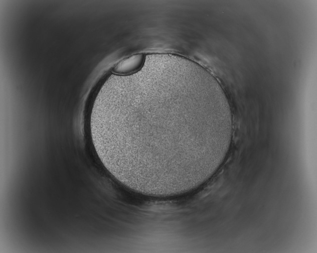 X0000094210296200711161834
