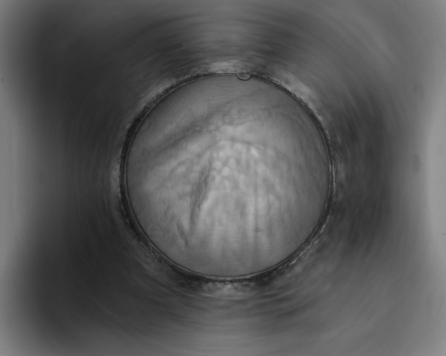 X0000094210297200711161834
