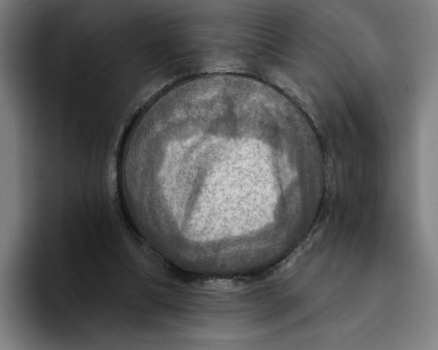 X0000094210298200711161834