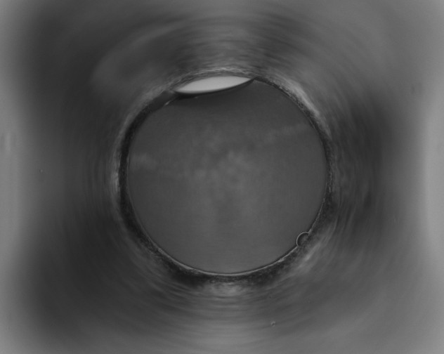 X0000094210299200711161834