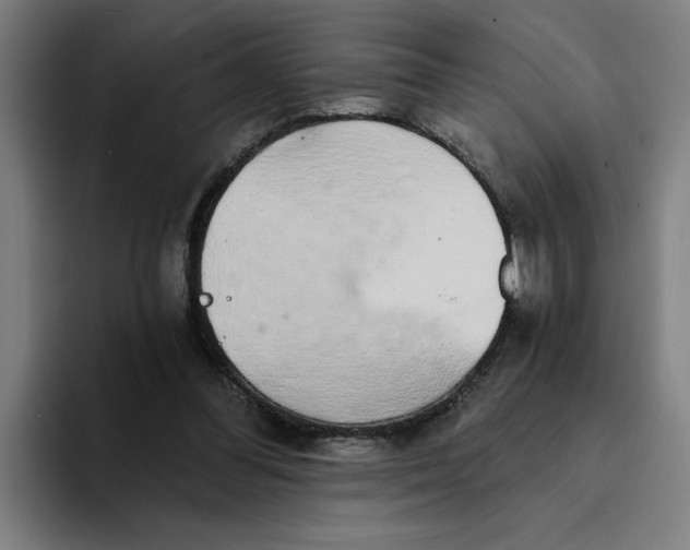 X0000094210300200711161834