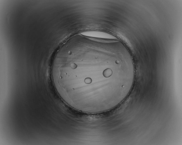 X0000094210305200711161834