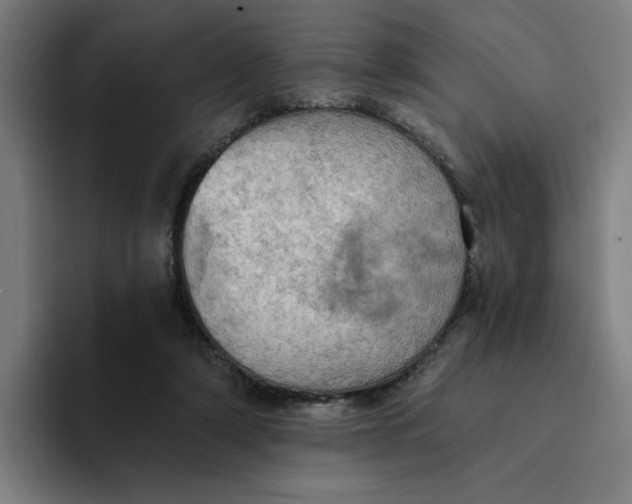 X0000094210306200711161834