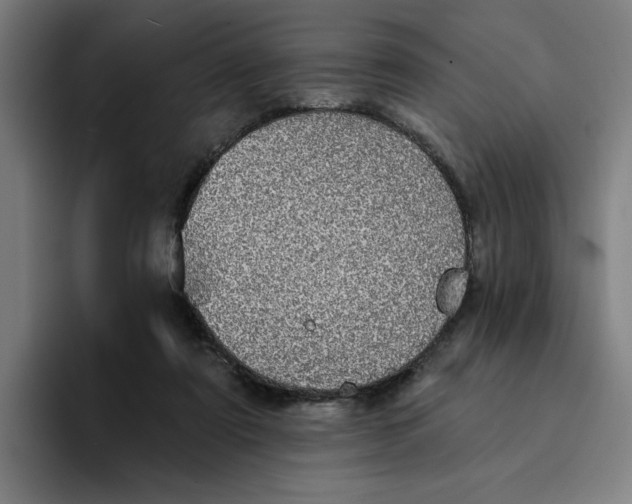 X0000094210307200711161834