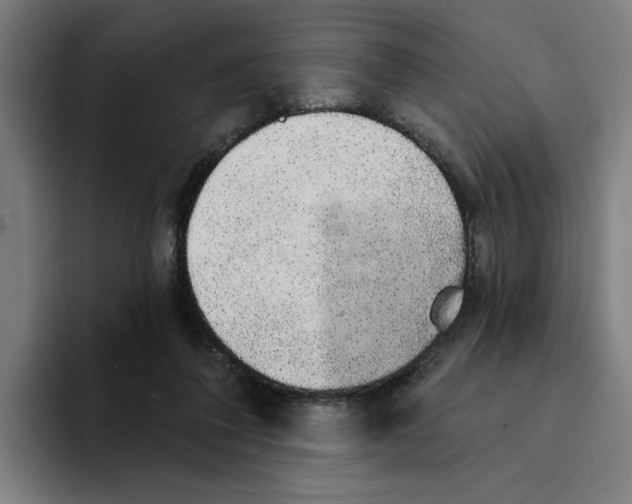 X0000094210308200711161834