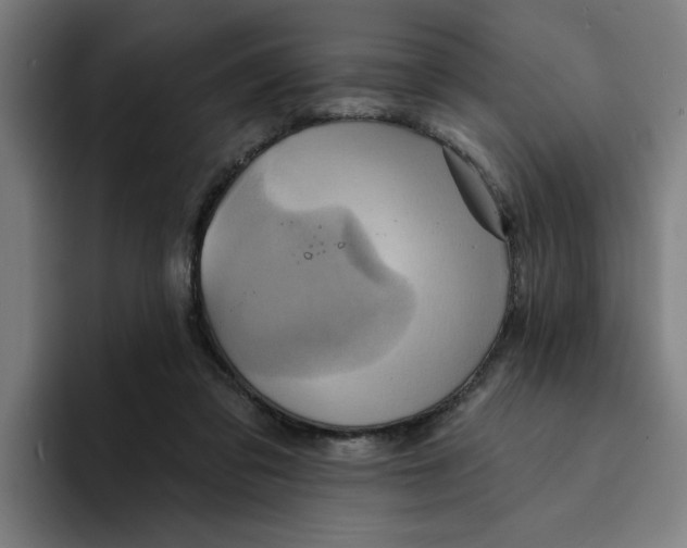 X0000094210309200711161834
