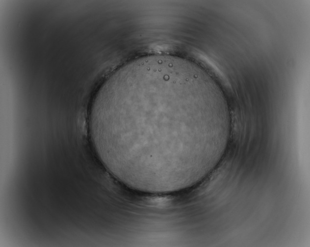 X0000094210313200711161834