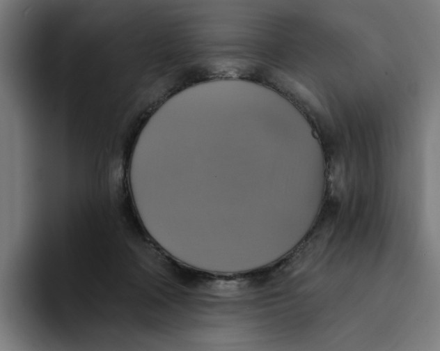 X0000094210314200711161834
