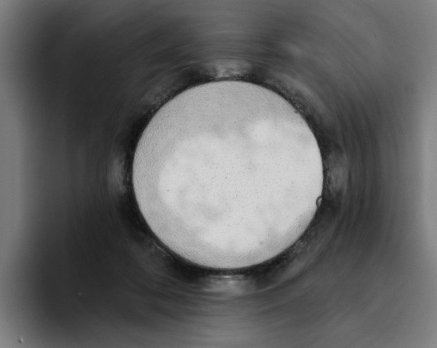 X0000094210316200711161834