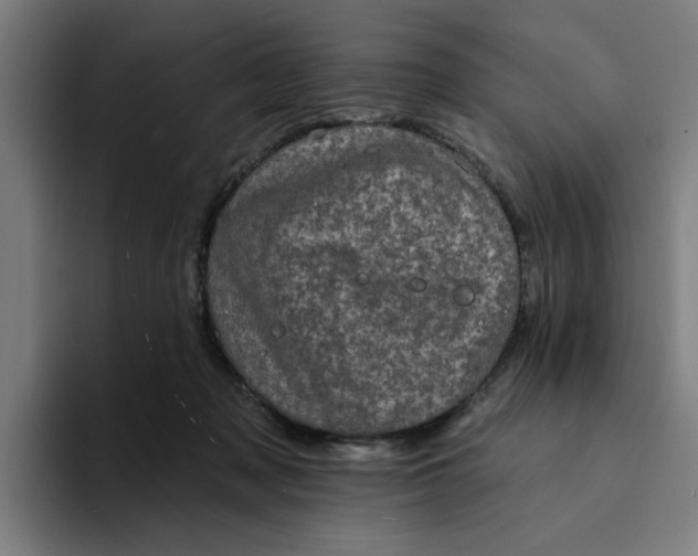 X0000094210317200711161834