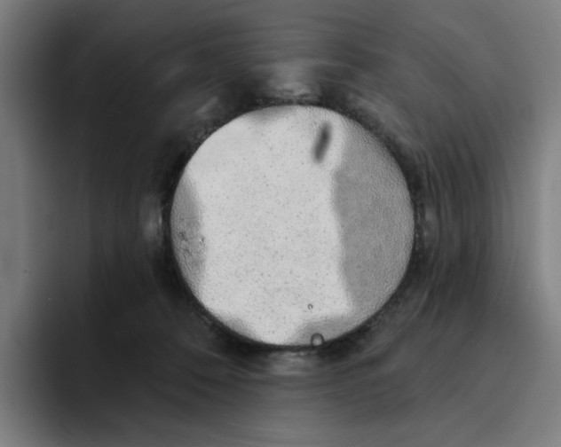 X0000094210320200711161834