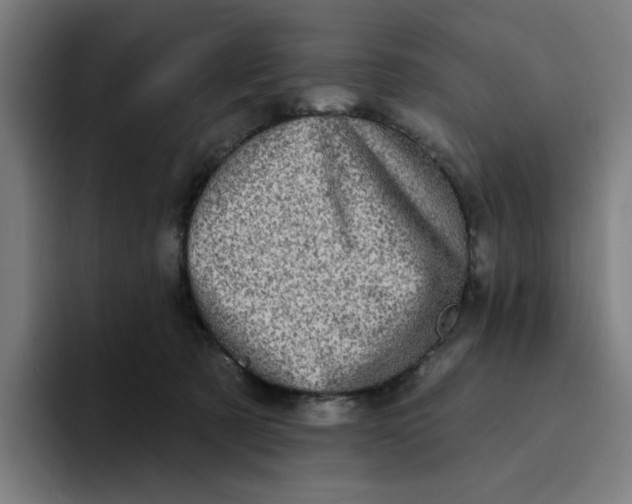 X0000094210321200711161834