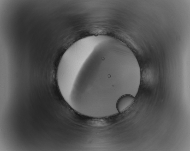 X0000094210322200711161834