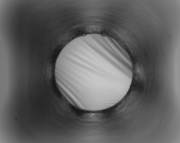 X0000094210323200711161834