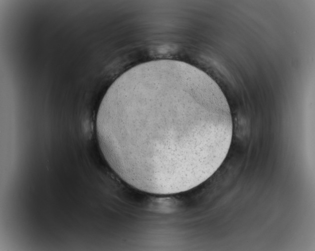 X0000094210324200711161834
