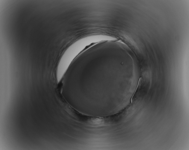X0000094210325200711161834