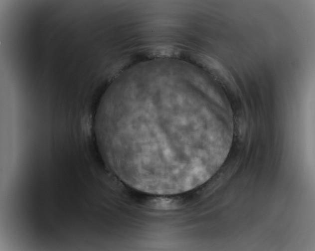 X0000094210326200711161834