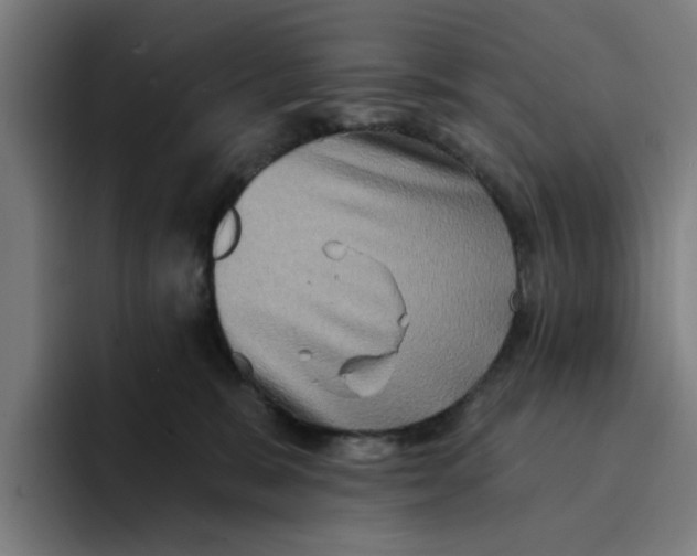 X0000094210327200711161834