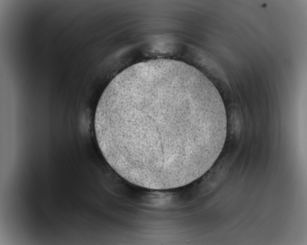 X0000094210328200711161834