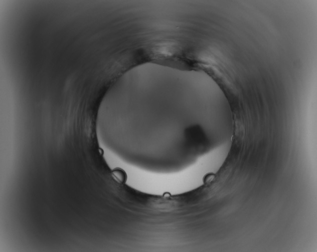 X0000094210331200711161834