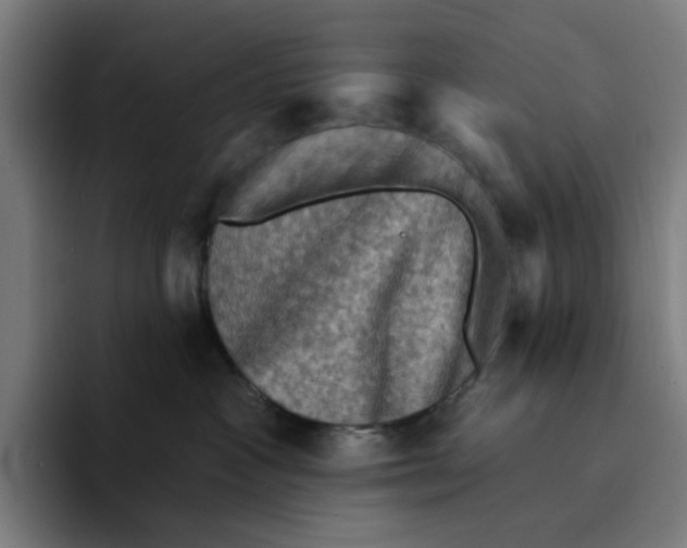 X0000094210333200711161834