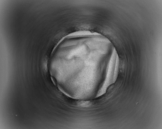 X0000094210334200711161834