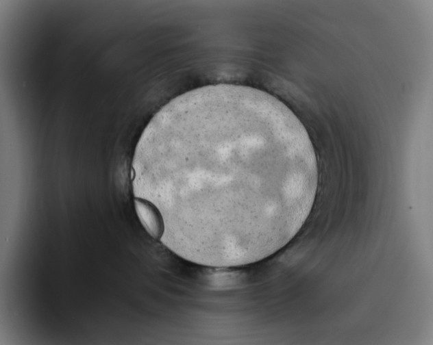 X0000094210336200711161834