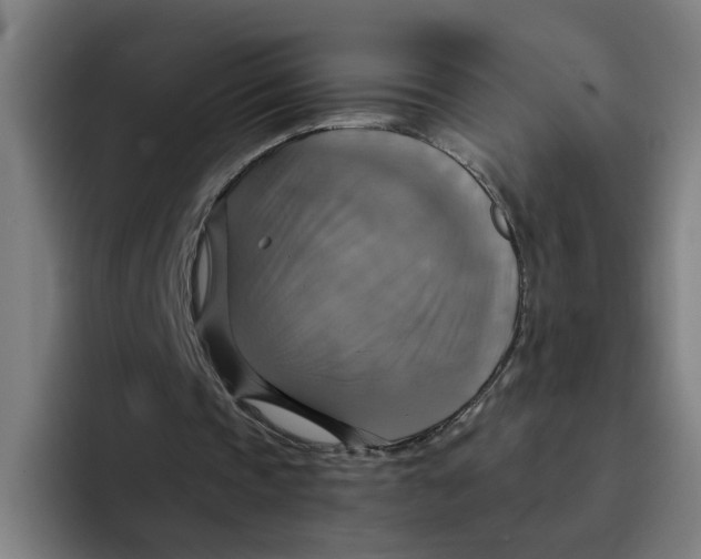 X0000094210337200711161833