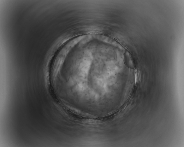 X0000094210339200711161833