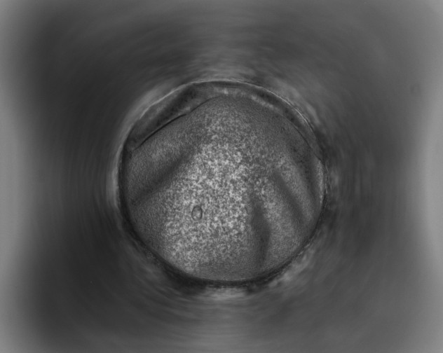 X0000094210340200711161833