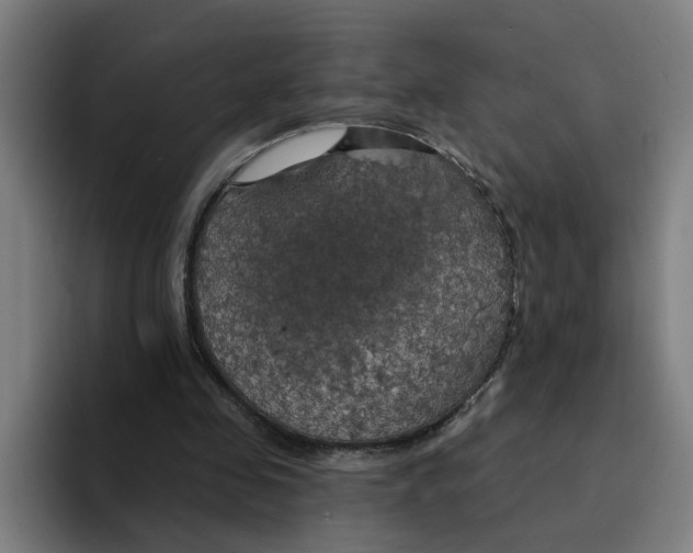 X0000094210341200711161833
