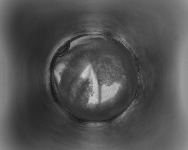 X0000094210342200711161833