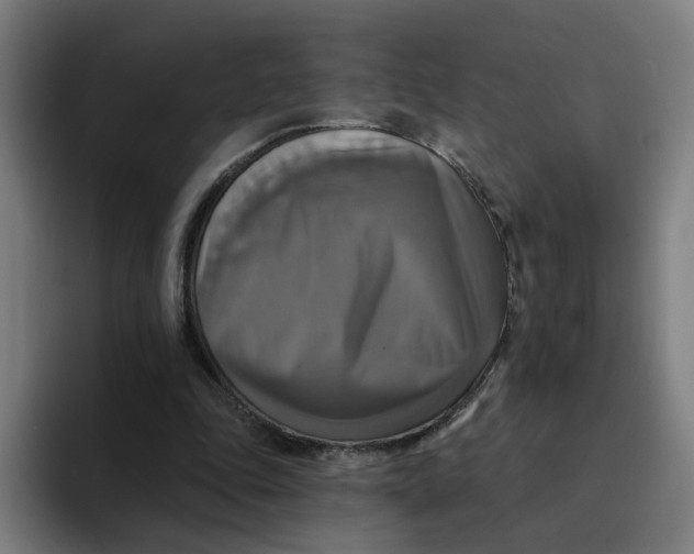 X0000094210343200711161833