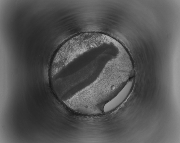 X0000094210345200711161833