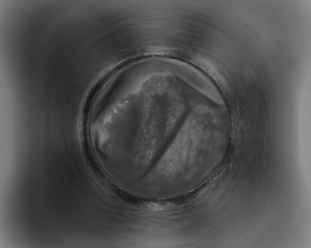 X0000094210346200711161833