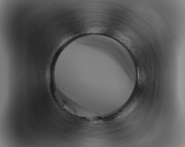 X0000094210348200711161833