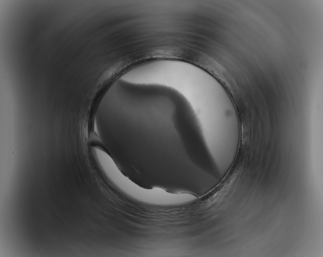 X0000094210349200711161833