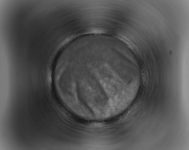 X0000094210350200711161833