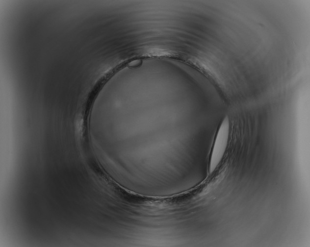 X0000094210351200711161833