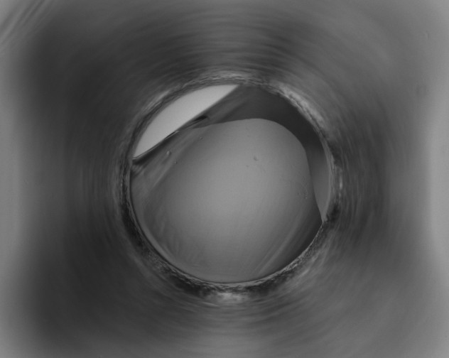X0000094210352200711161833